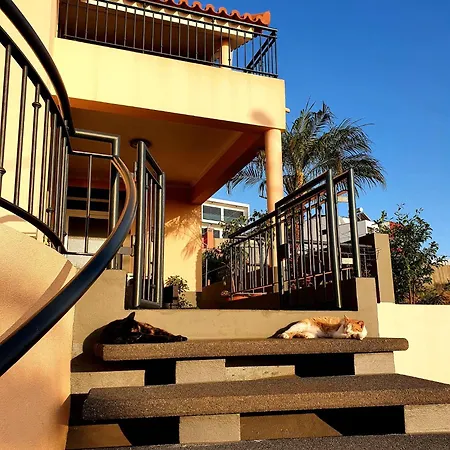 Beautiful View 3 - Ilha Da Madeira * Arco da Calheta