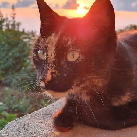 Beautiful View 3 - Ilha Da Madeira