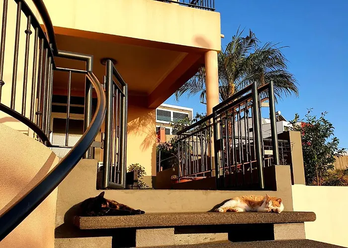 Beautiful View 3 - Ilha Da Madeira * Arco da Calheta (Madeira)