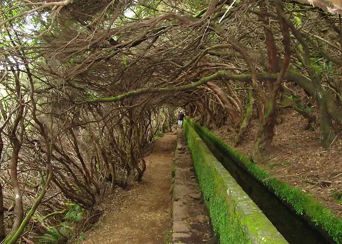 Beautiful View 3 - Ilha Da Madeira Appartamento